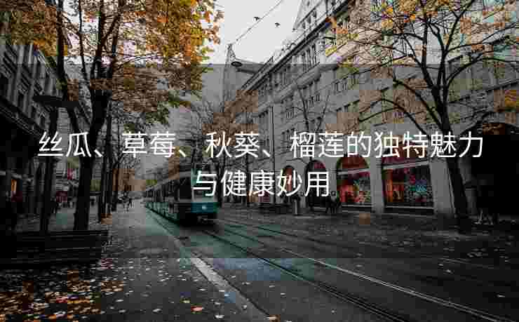 丝瓜、草莓、秋葵、榴莲的独特魅力与健康妙用