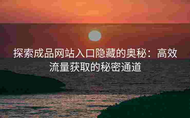 探索成品网站入口隐藏的奥秘：高效流量获取的秘密通道