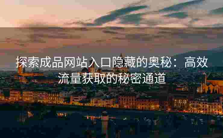 探索成品网站入口隐藏的奥秘：高效流量获取的秘密通道