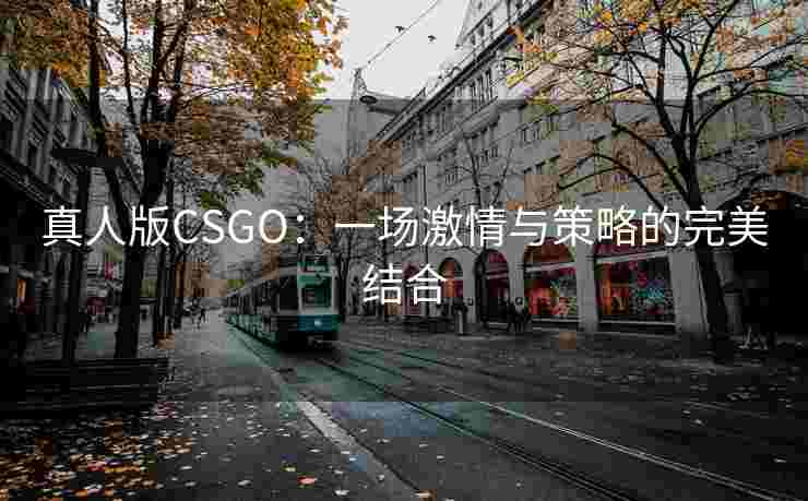 真人版CSGO：一场激情与策略的完美结合