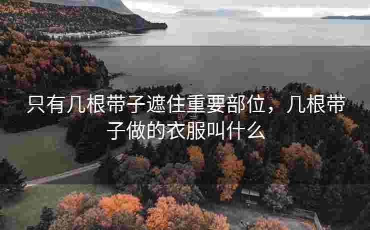 只有几根带子遮住重要部位，几根带子做的衣服叫什么