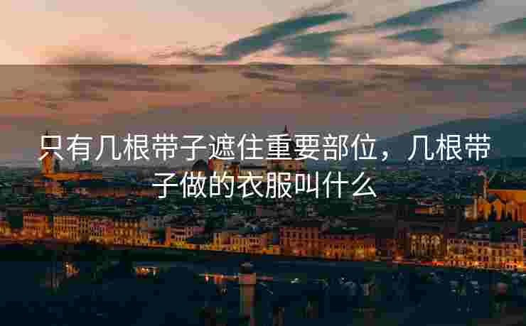 只有几根带子遮住重要部位，几根带子做的衣服叫什么