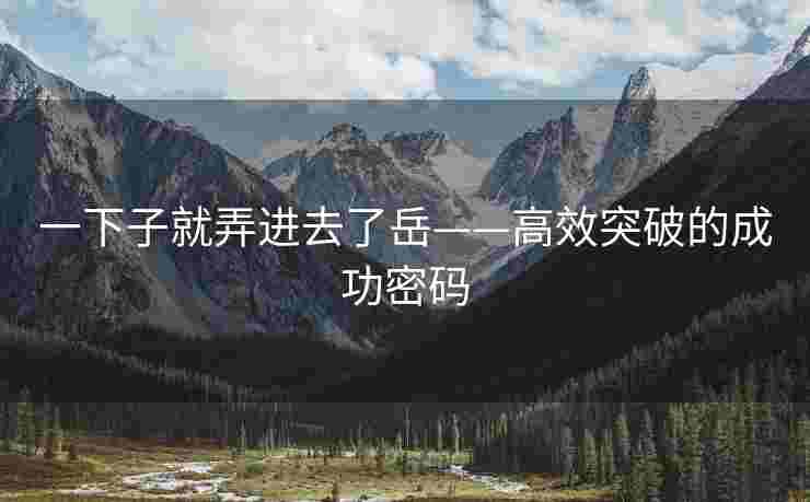一下子就弄进去了岳——高效突破的成功密码
