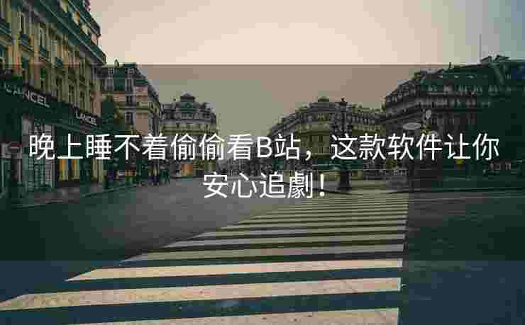 晚上睡不着偷偷看B站，这款软件让你安心追劇！