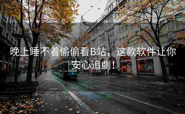 晚上睡不着偷偷看B站，这款软件让你安心追劇！